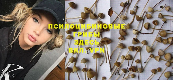 крисы Абинск