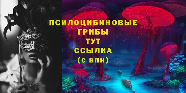 гидра Нязепетровск