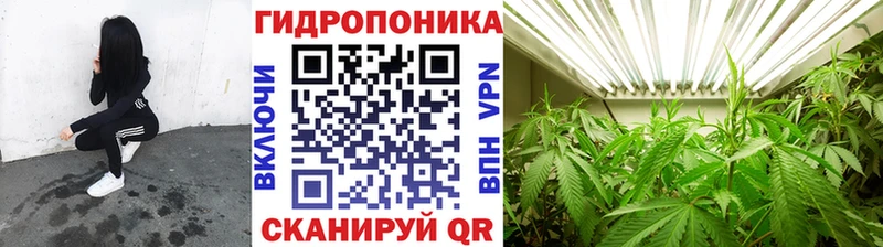 Шишки марихуана марихуана  Звенигород 